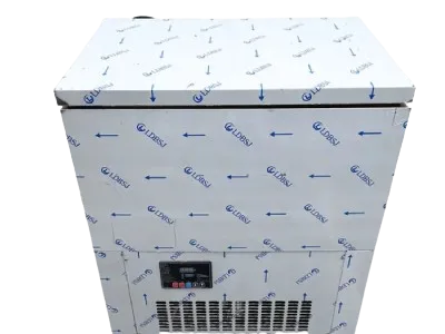 Dubbel-Modellen-Snel-Koelen-Popsicle-Maker-Machine-Sorbet-LJB160-2-1600W-220V-50Hz--removebg-preview